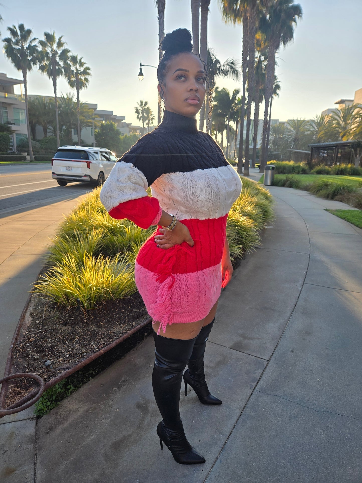 Check Please Sweater Dress